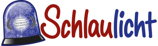 Schlaulicht
