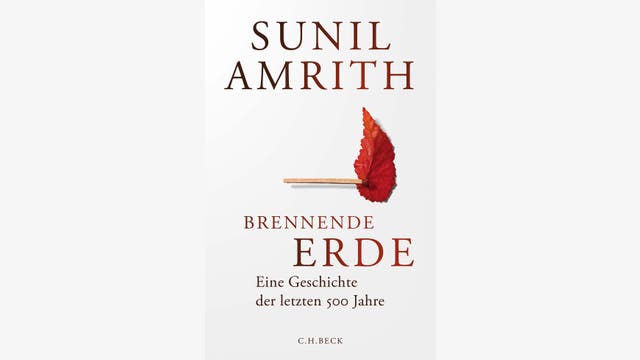 Sunil Amrith: Brennende Erde