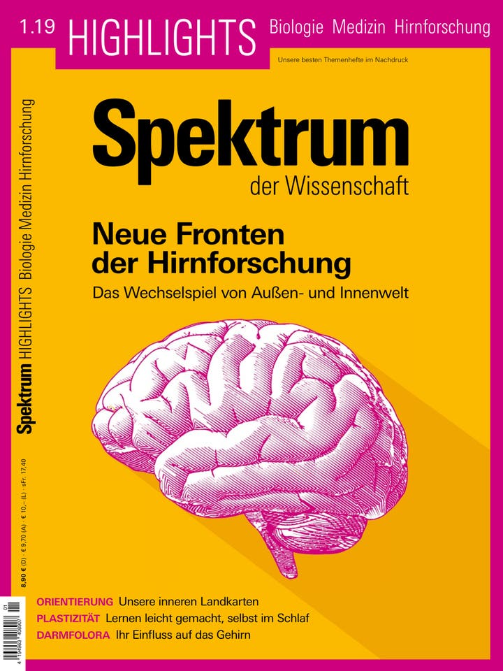  Neue Fronten der Hirnforschung