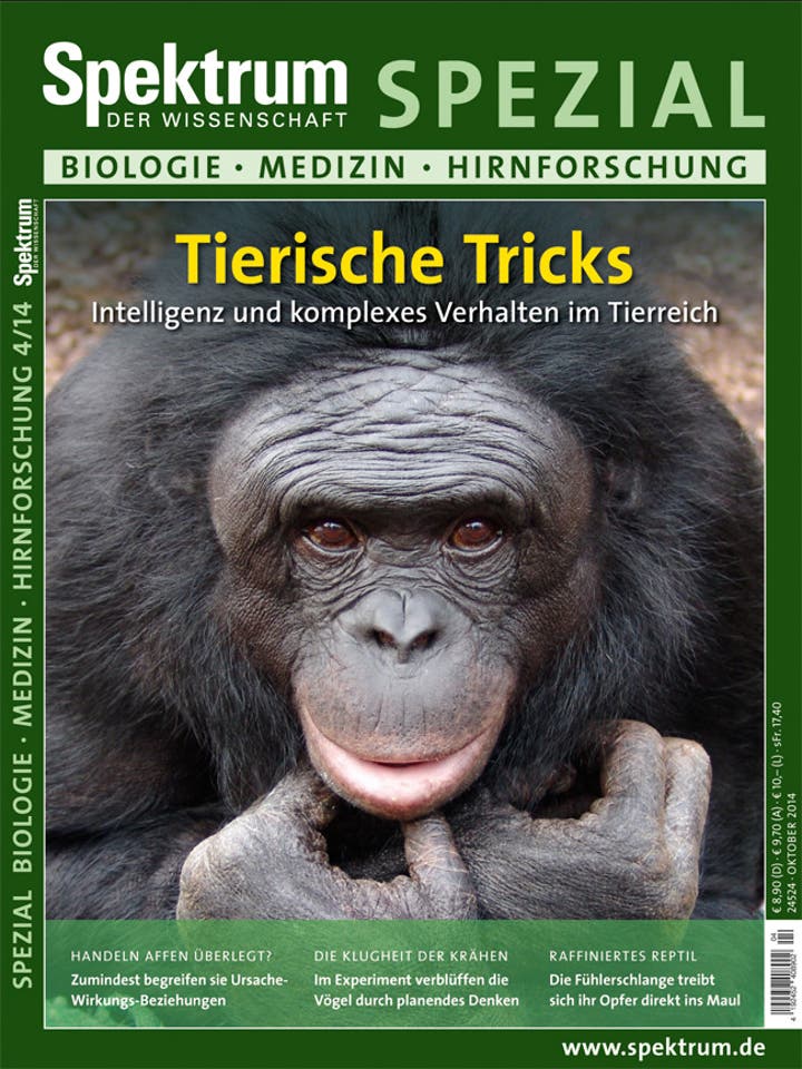  Tierische Tricks