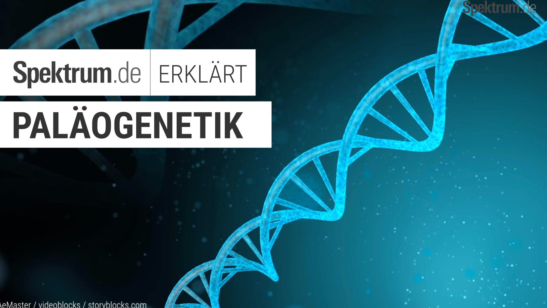Wie funktioniert Paläogenetik?