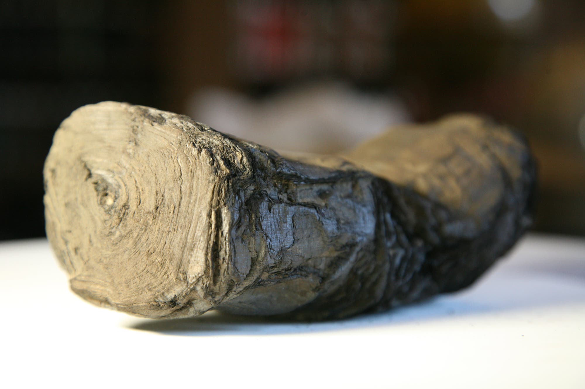 Eine Rolle aus Papyrus