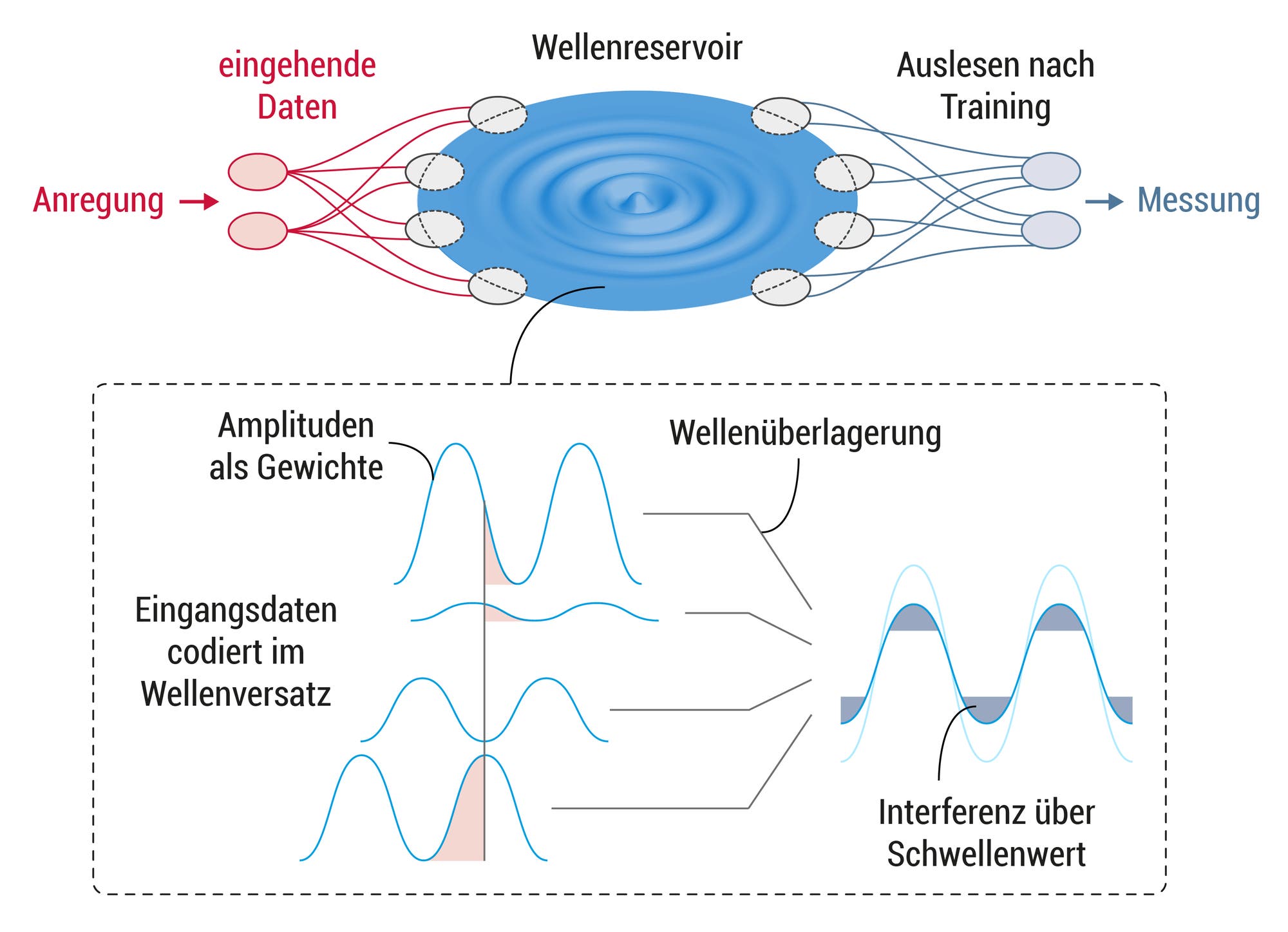 Diagramm eines Wellenreservoirs zur Datenverarbeitung. Links werden eingehende Daten durch Anregung in das Wellenreservoir eingespeist. Das Reservoir zeigt konzentrische Wellen, die die Datenverarbeitung symbolisieren. Rechts erfolgt das Auslesen nach dem Training, das als Messung bezeichnet wird. Unten ist ein vergrößerter Abschnitt zu sehen, der die Amplituden als Gewichte und die Codierung der Eingangsdaten im Wellenversatz zeigt. Die Wellenüberlagerung führt zur Interferenz über einen Schwellenwert. Das Diagramm illustriert die Funktionsweise eines Wellenreservoirs zur Datenverarbeitung und -analyse.