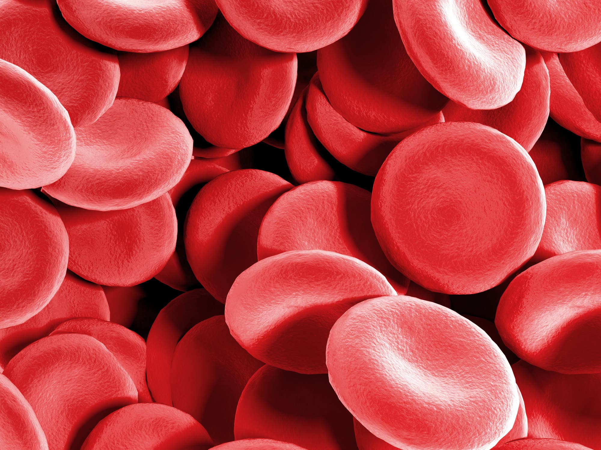 Rote Blutkörperchen