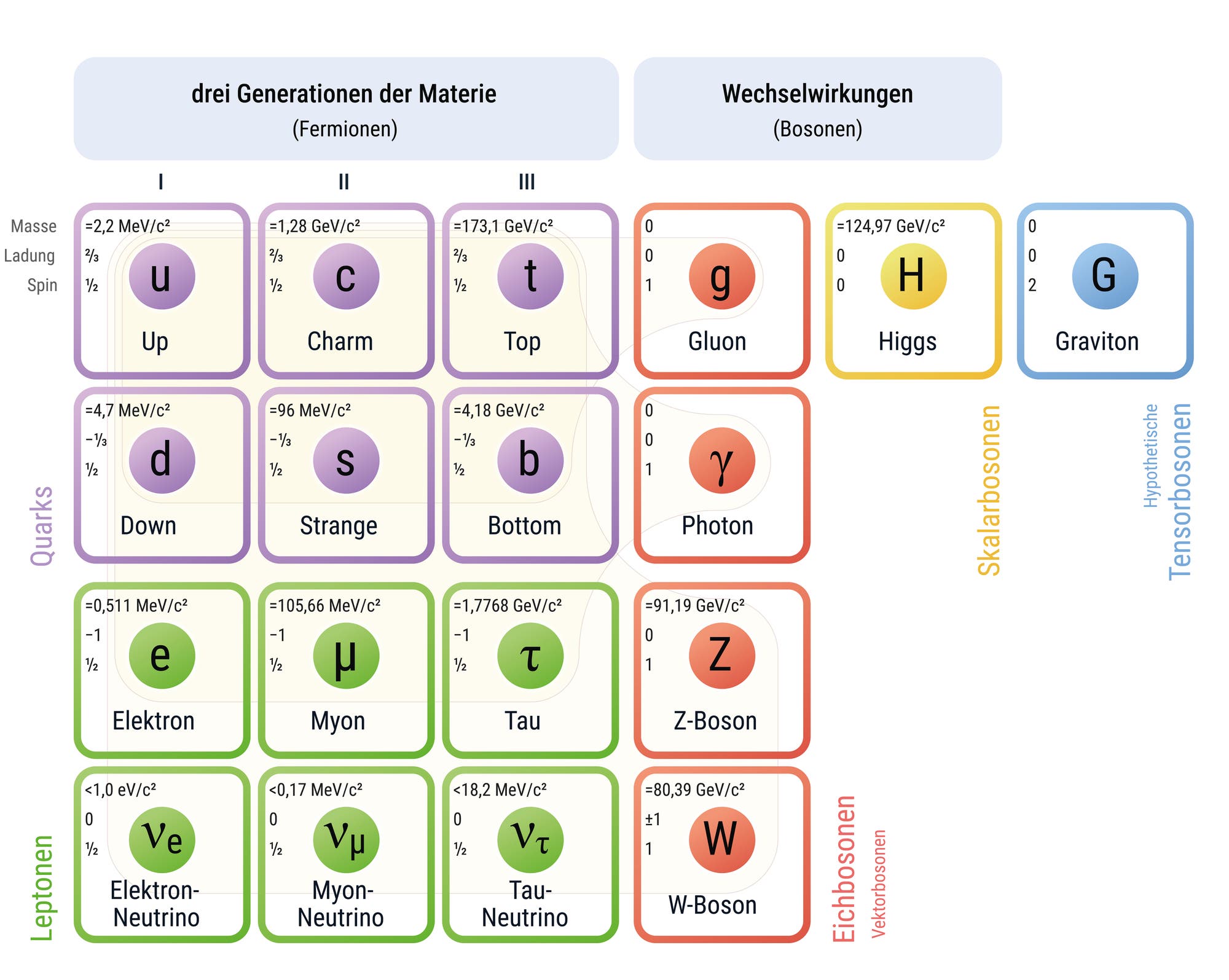 Das Bild zeigt eine Tabelle der Elementarteilchen im Standardmodell der Teilchenphysik, unterteilt in Fermionen und Bosonen. Links sind die Fermionen in drei Generationen dargestellt: Quarks (Up, Down, Charm, Strange, Top, Bottom) und Leptonen (Elektron, Myon, Tau sowie ihre Neutrinos). Rechts sind die Bosonen für Wechselwirkungen: Gluon, Photon, Z-Boson, W-Boson, Higgs und hypothetisch der Graviton. Jede Zelle enthält Informationen zu Masse, Ladung und Spin der Teilchen. Die Quarks und Leptonen sind in lila und grün umrandet, während die Bosonen rot, gelb und blau umrandet sind.