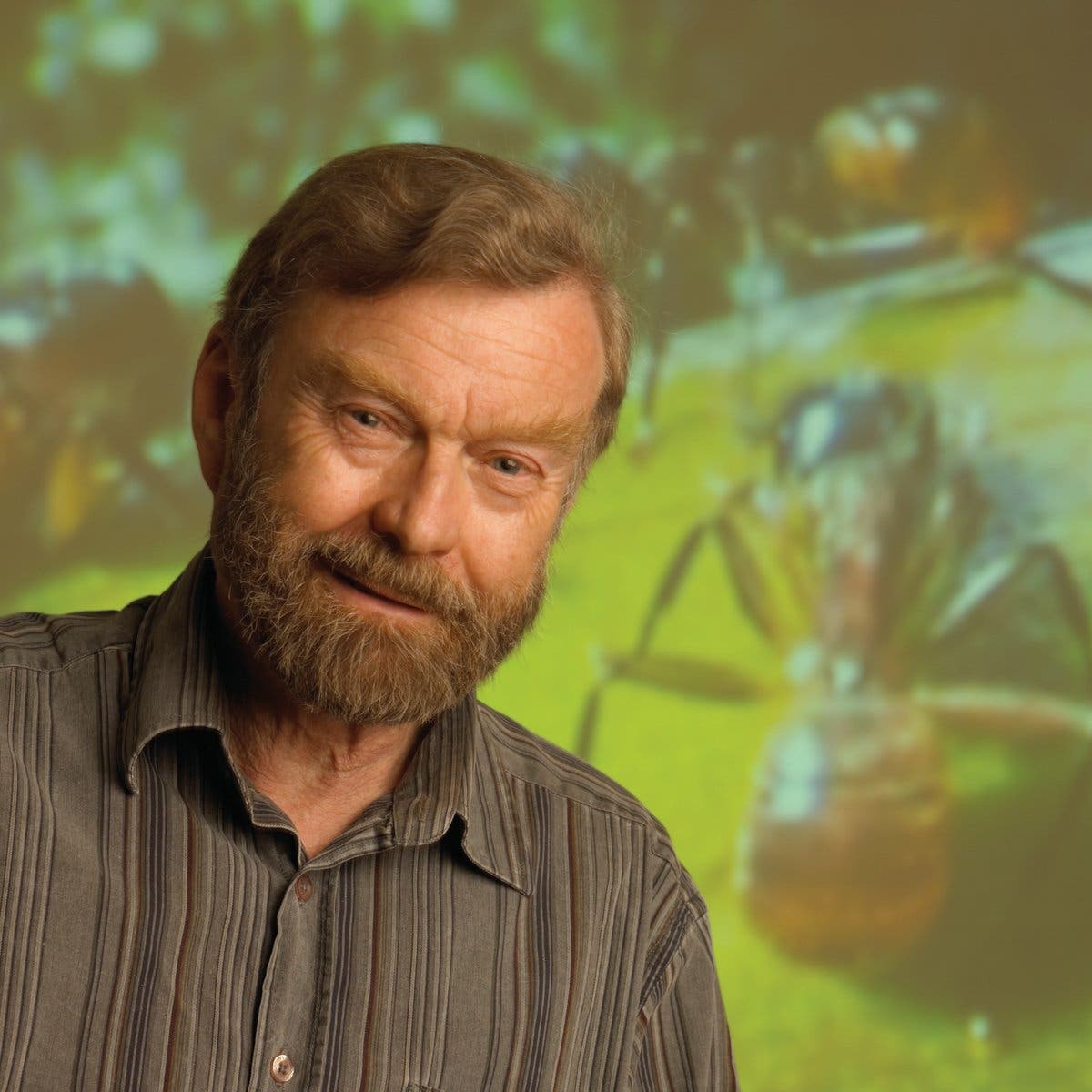 Bert Hölldobler