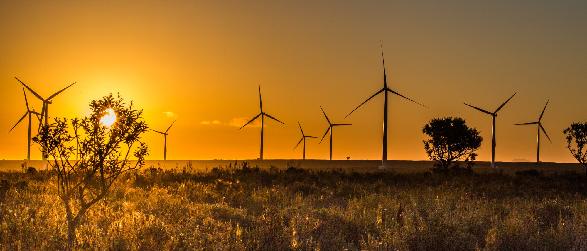 Die Jeffreys Bay Wind Farm an der windreichen Südküste Südafrikas westlich von Port Elizabeth liefert reichlich 50 Megawatt elektrische Energie im Jahresdurchschnitt – ausreichend für 100 000 Haushalte. Die Jeffreys Bay Wind Farm an der windreichen Südküste Südafrikas westlich von Port Elizabeth liefert reichlich 50 Megawatt elektrische Energie im Jahresdurchschnitt – ausreichend für 100 000 Haushalte.