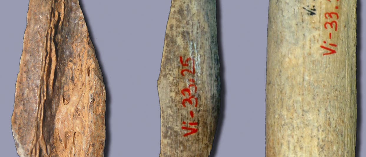 Archaische DNA Archaische DNA