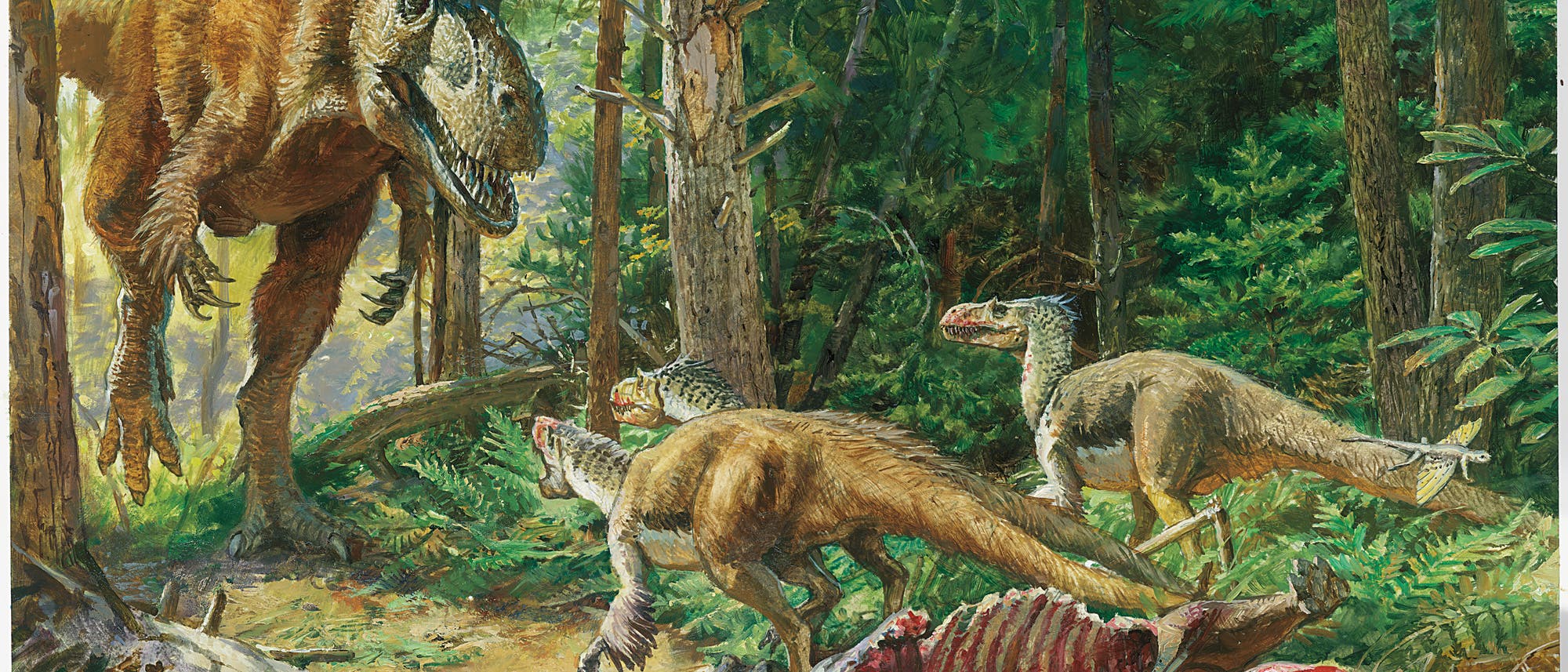 Tyrannosaurus Tyrannosaurus