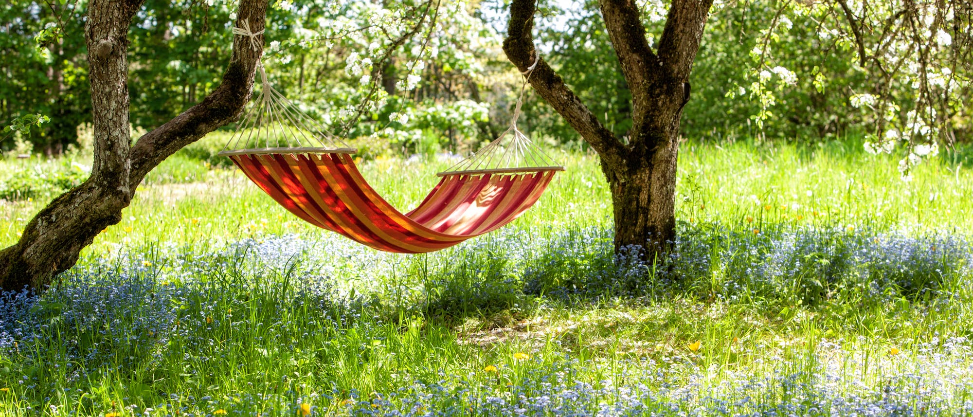 Ein Garten, in dem Pflanzen einfach ein bisschen wachsen dürfen, ist auch sehr schön Ein Garten, in dem Pflanzen einfach ein bisschen wachsen dürfen, ist auch sehr schön