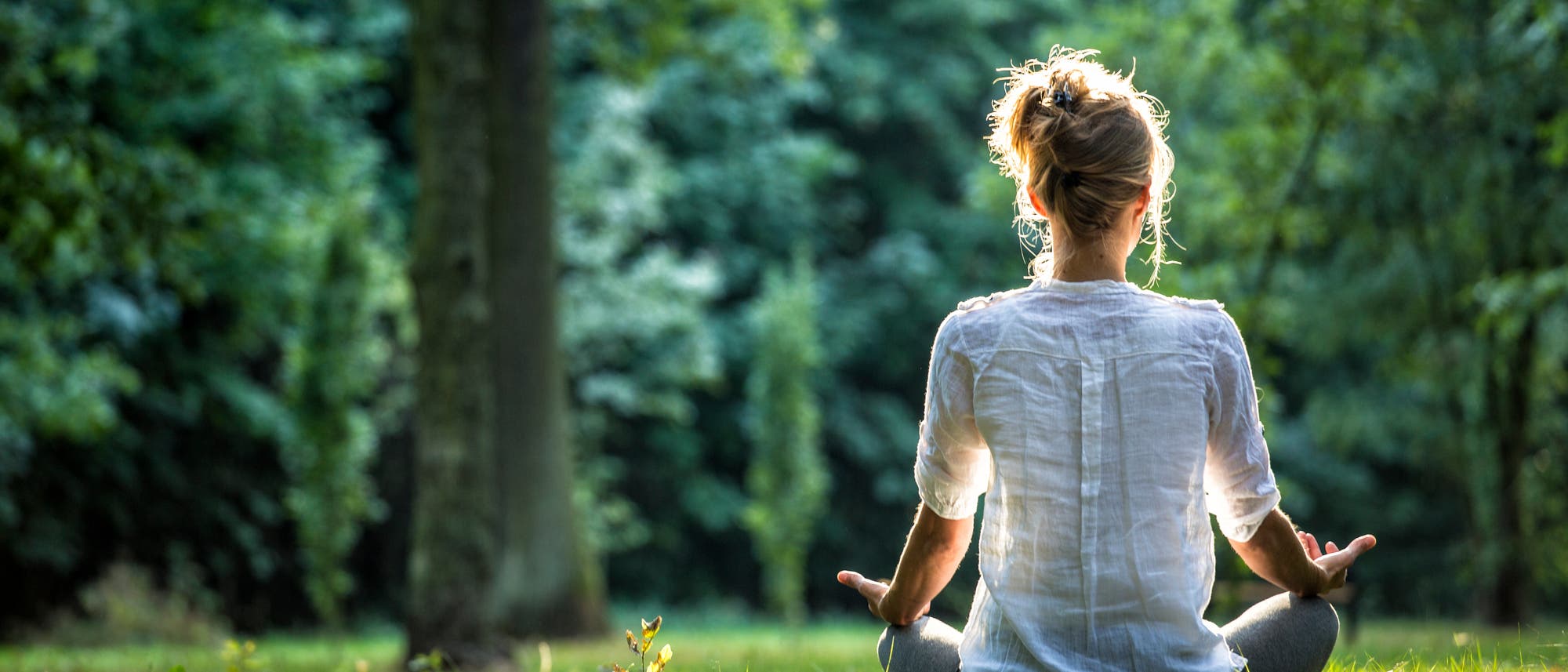 Frau meditiert im Wald Frau meditiert im Wald