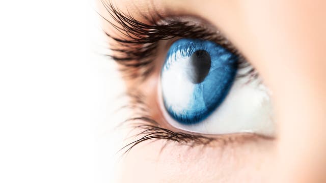 Schau mir in die Augen! 