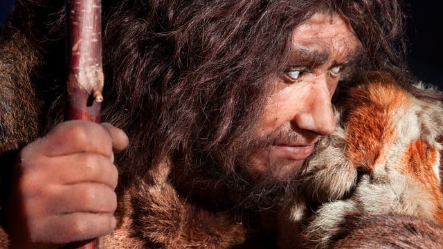 Neandertaler