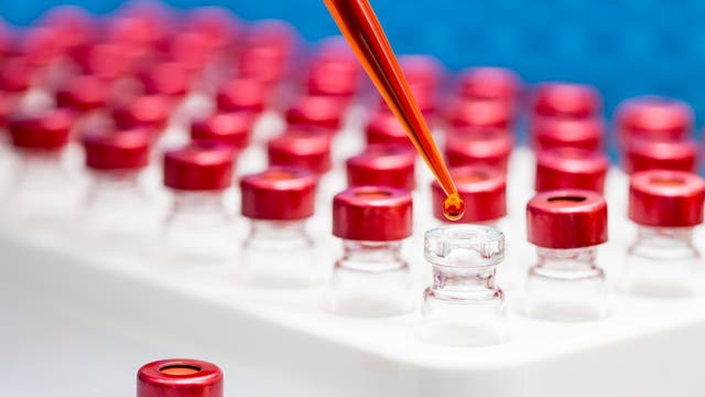 Biotechnologische Verfahren zur Krebsimmuntherapie