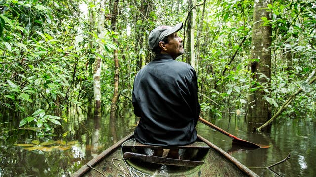 Im Boot durch den überfluteten Wald