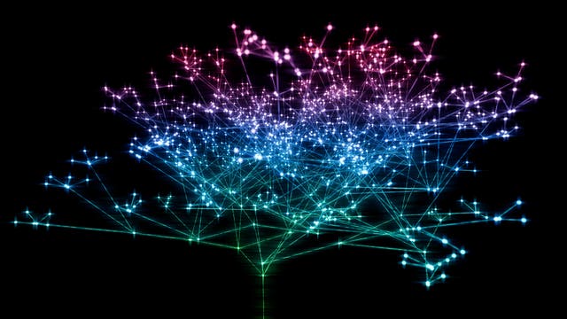 Ein abstraktes Verzweigungsmuster, symbolhaft gezeigt für die Auffächerung der Arten im Zuge der biologischen Evolution.