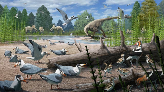 Eine prähistorische Szene zeigt verschiedene Dinosaurier und Vögel an einem Flussufer inmitten üppiger Vegetation. Im Vordergrund sind mehrere vogelähnliche Kreaturen auf dem Boden zu sehen, während im Hintergrund ein großer Dinosaurier am Wasser steht. Der Himmel ist mit fliegenden Vögeln gefüllt, und die Umgebung ist von hohen Bäumen und Pflanzen umgeben. Die Szene vermittelt ein lebendiges Bild des Lebens in der Urzeit.