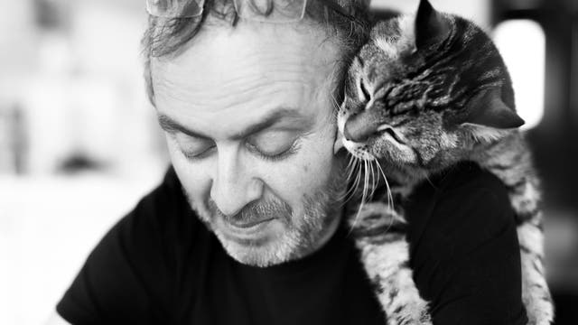 Katze hängt über der Schulter eines Mannes und schleckt ihm die Wange