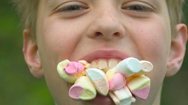 Widerstand war zwecklos: Junge isst Marshmallows