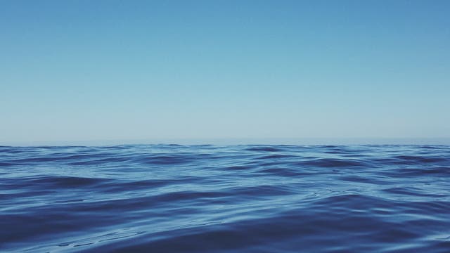 Meer