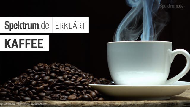 Wie wirkt Kaffee nun wirklich?