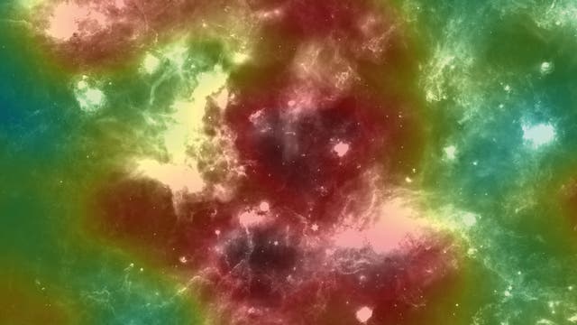 Cygnus-Kokon