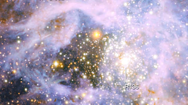 Der Stern VFTS 682 im Tarantelnebel