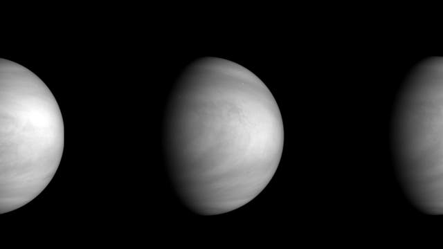 Venus