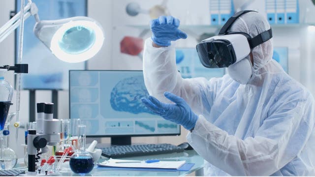 Neurowissenschaft: Ein Blick ins Gehirn