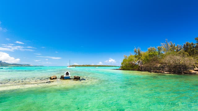 Nahe von Pointe d'Esny auf Mauritius kam es im Sommer 2020 zu einer Ölkatastrophe.