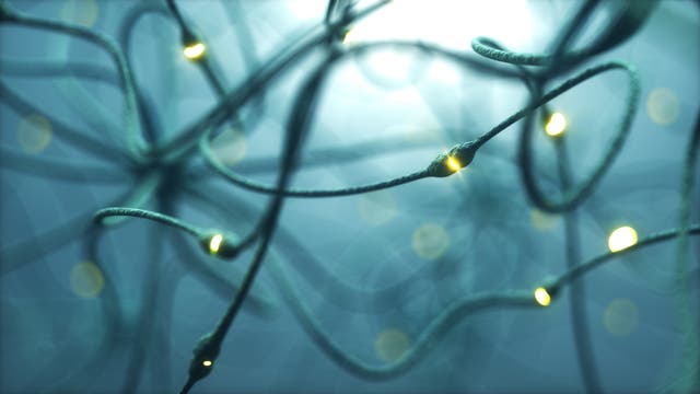 Neurone