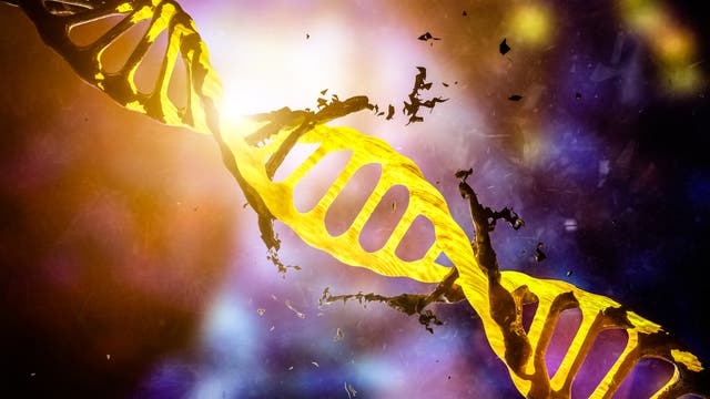 DNA-Helix