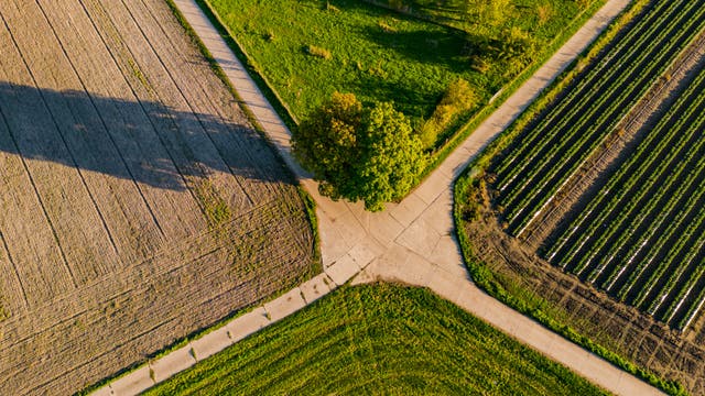 Landschaft aus der Luft