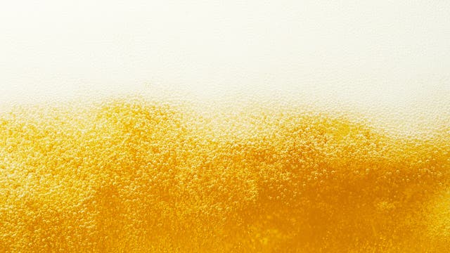 Bier brauen