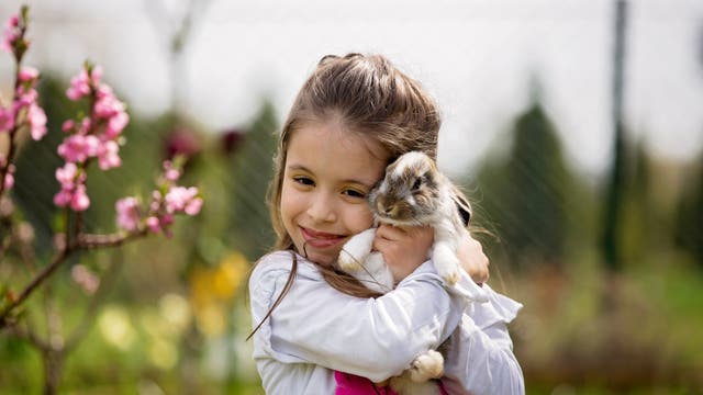 Mädchen, Hase, Kind, süß, niedlich, kuscheln, Haustiere