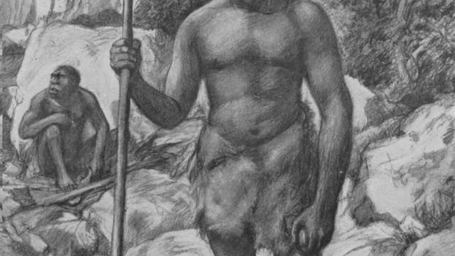 Homo rhodesiensis