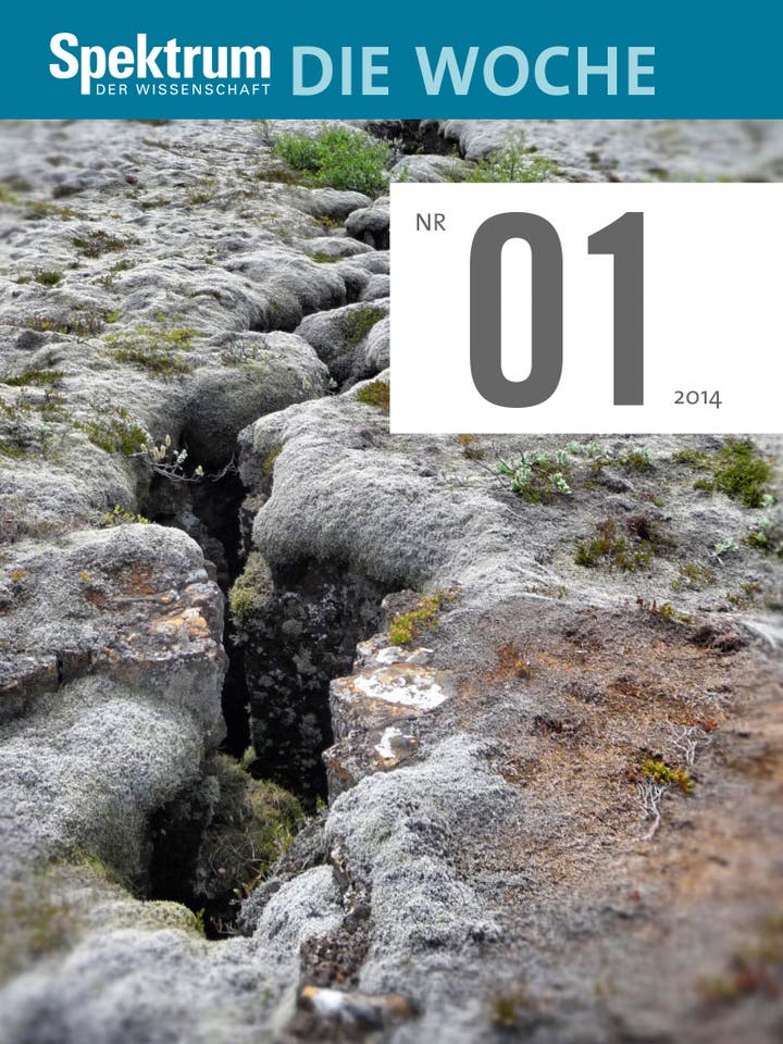 Spektrum – Die Woche – 2014 – 1. KW 2014
