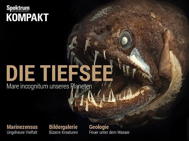  Die Tiefsee – Mare incognitum unseres Planeten