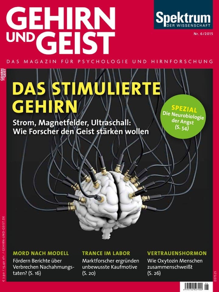GuG_2015_06_ges (pdf)