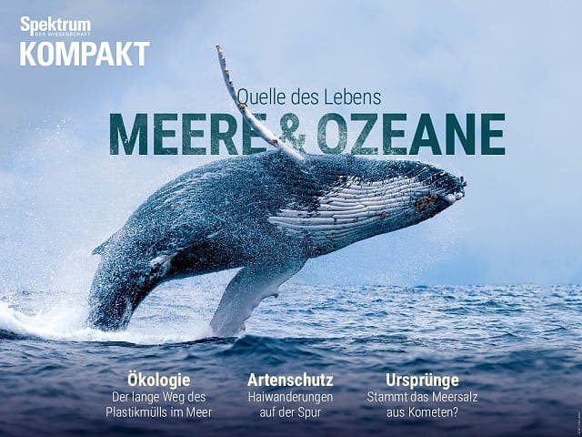  Meere und Ozeane – Quelle des Lebens