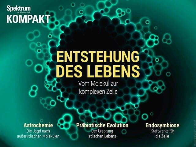  Entstehung des Lebens – Vom Molekül zur komplexen Zelle