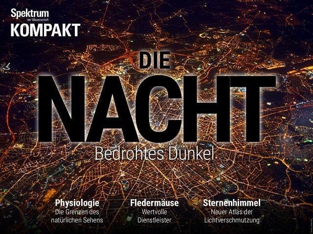  Die Nacht – Bedrohtes Dunkel