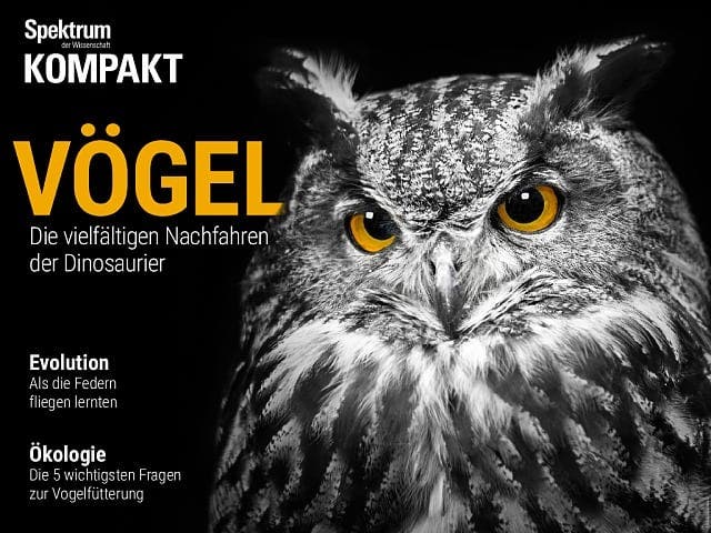  Vögel – Die vielfältigen Nachfahren der Dinosaurier