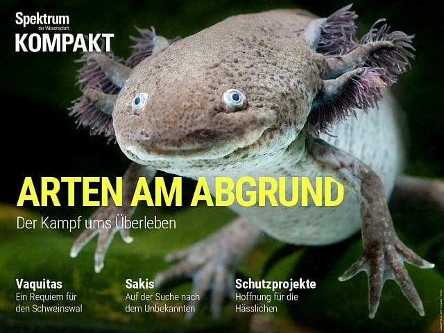  Arten am Abgrund – Der Kampf ums Überleben