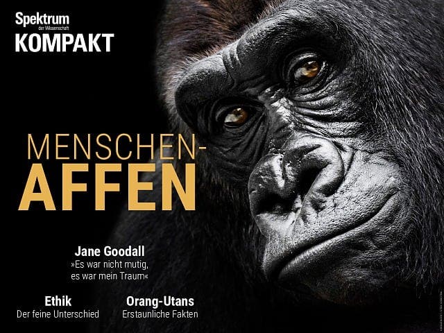  Menschenaffen – Unsere nächsten Verwandten