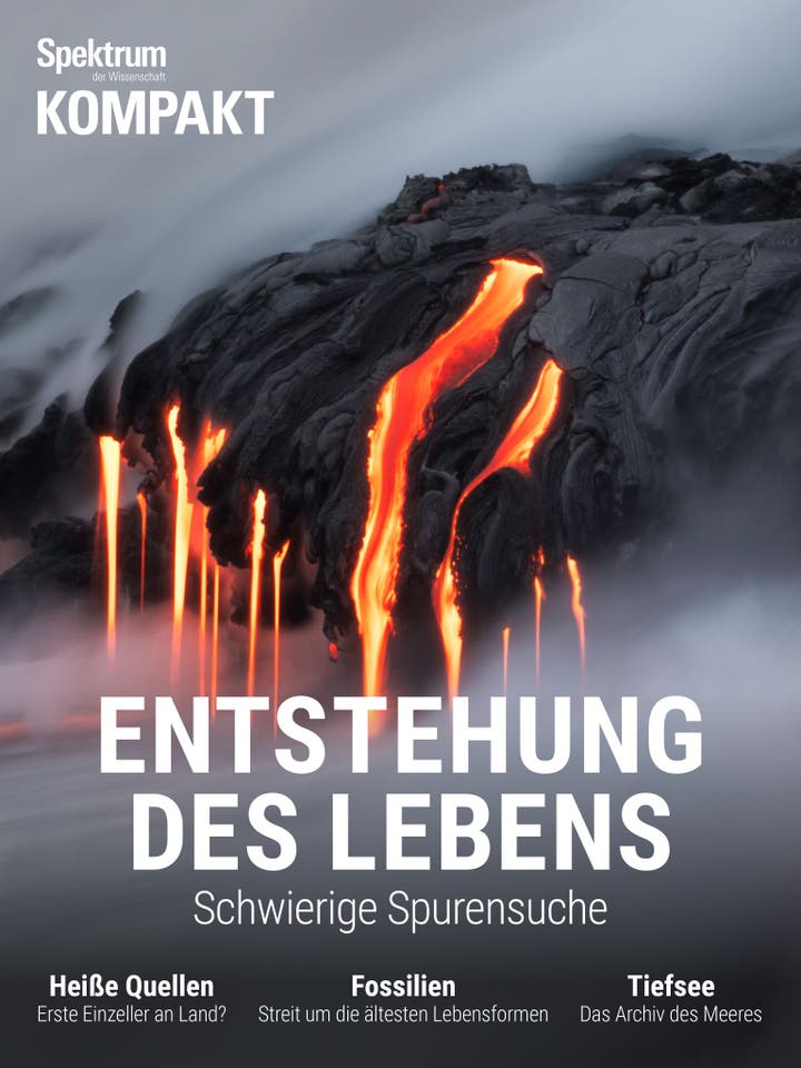 Spektrum Kompakt - 2/2019 - Entstehung des Lebens - Schwierige Spurensuche