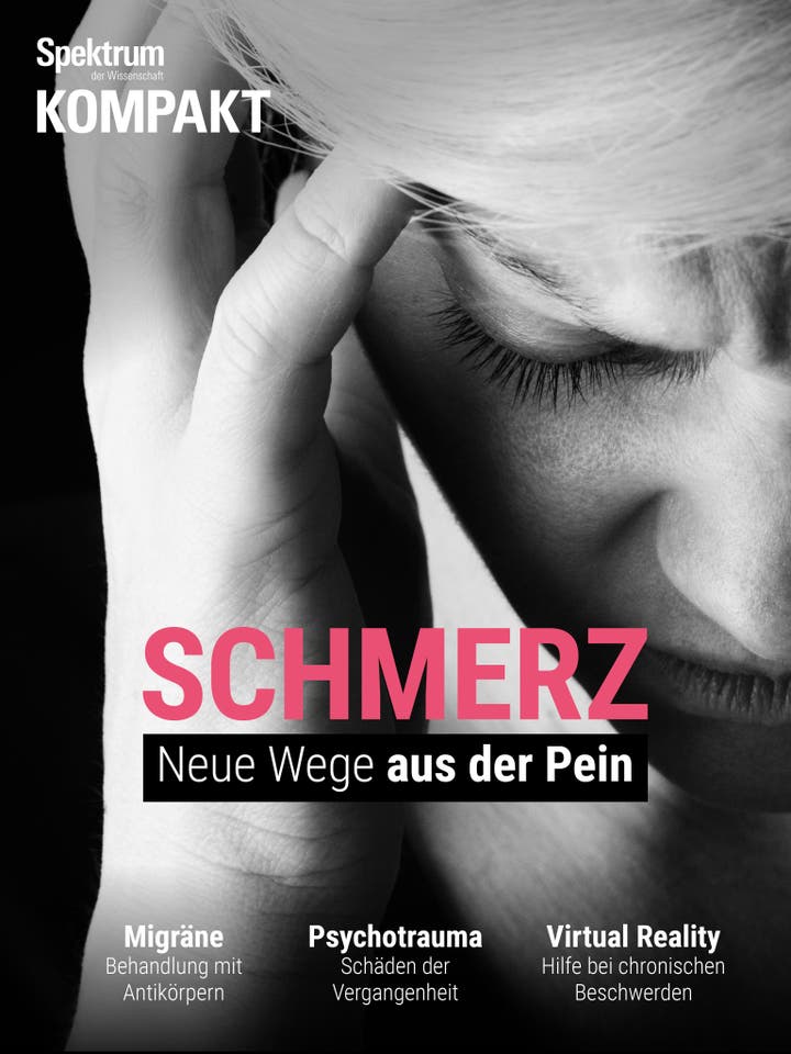 Spektrum Kompakt - 5/2019 - Schmerz - Neue Wege aus der Pein