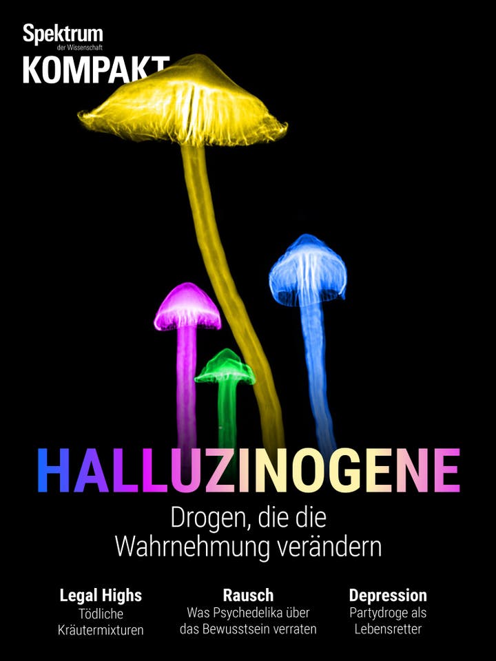 Spektrum Kompakt – 42/2019 – Halluzinogene – Drogen, die die Wahrnehmung verändern