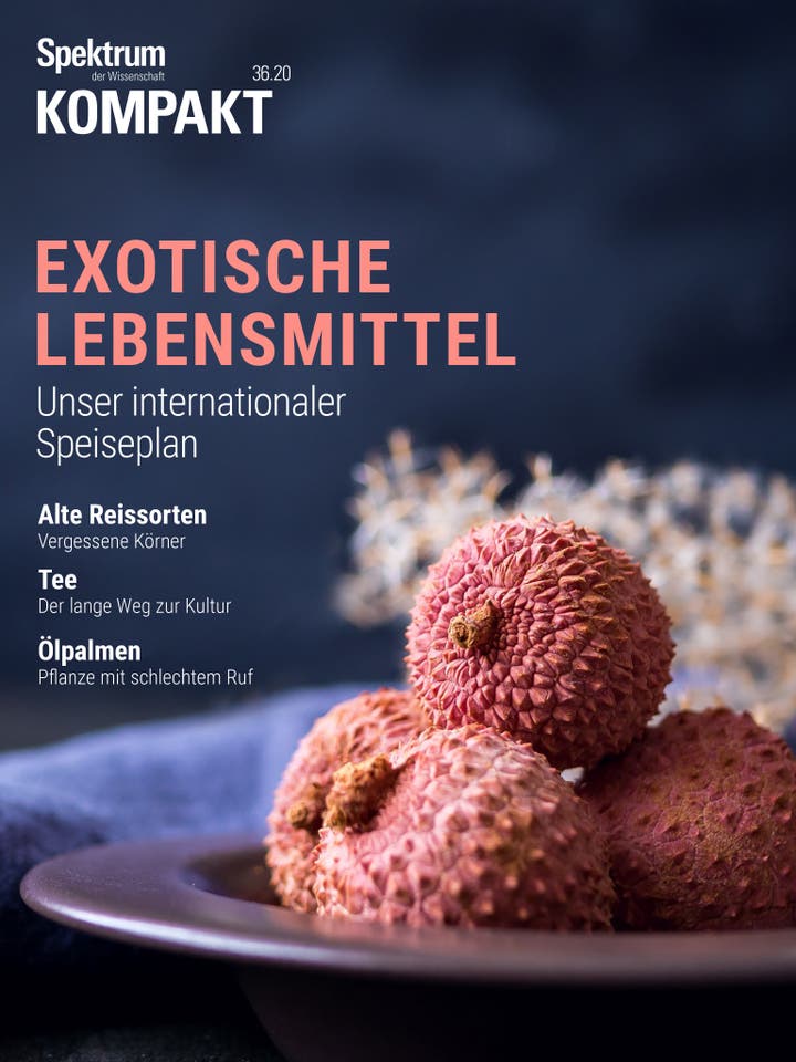 Spektrum Kompakt - 36/2020 - Exotische Lebensmittel - Unser internationaler Speiseplan