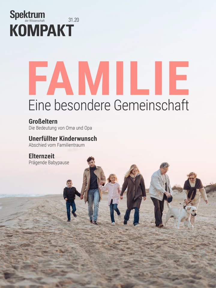 Spektrum Kompakt - 31/2020 - Familie - Eine besondere Gemeinschaft